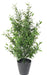 Salvia Artificiale UV Per Balcone 55Cm