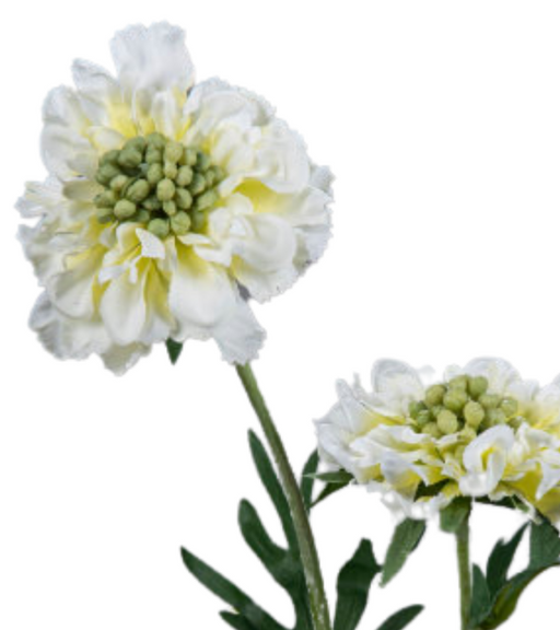 Stelo Di Scabiosa Artificiale 55Cm Decorazione Crema