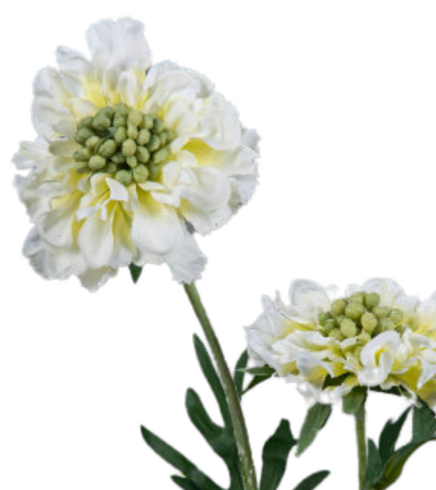 Stelo Di Scabiosa Artificiale 55Cm Decorazione Crema