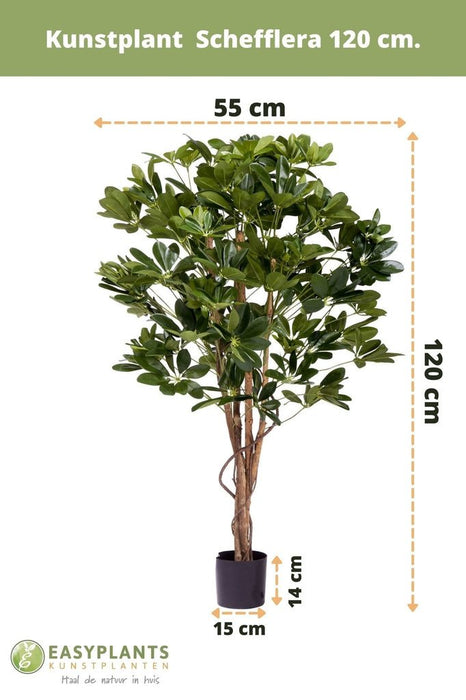 Schefflera - Albero Artificiale