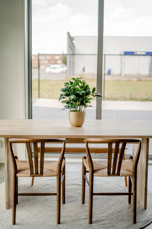 Schefflera - Pianta Verde Artificiale