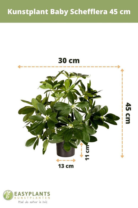 Schefflera - Pianta Verde Artificiale