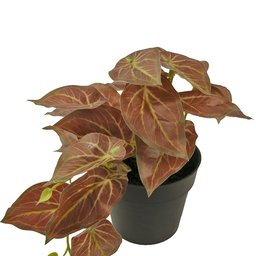 Scindapsus - Pianta Verde Artificiale