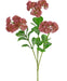Rosa Sedum Artificiale