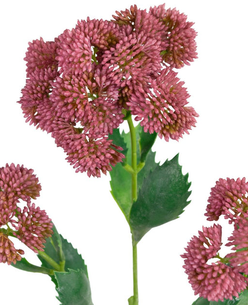 Sedum Rosso Artificiale
