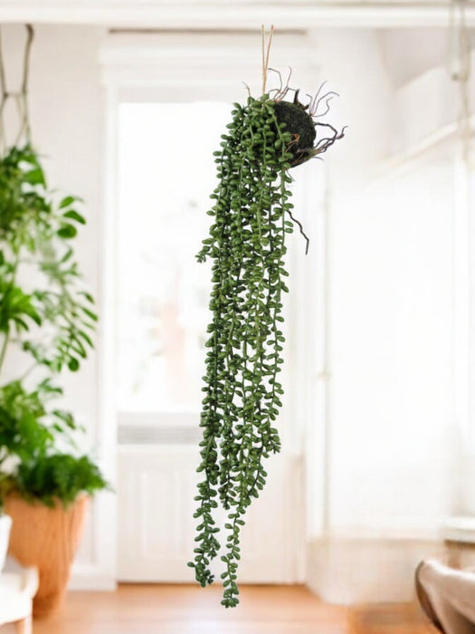 Senecio Ball - Pianta Artificiale Che Cade