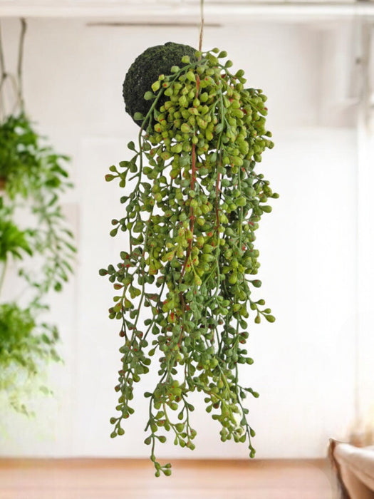 Senecio - Pianta Artificiale Cadente