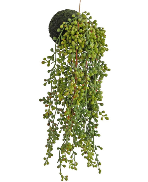 Senecio - Pianta Artificiale Cadente