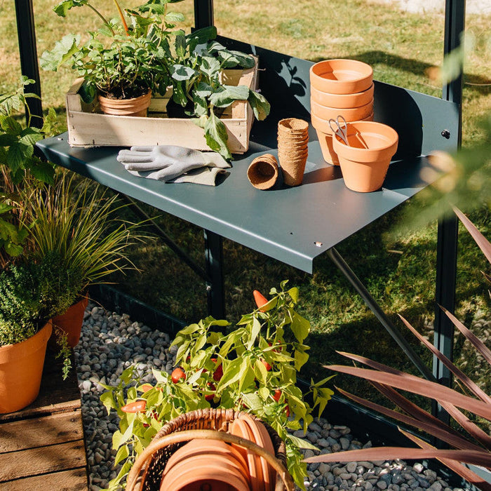 Serra Di Cumino 8,1 M²