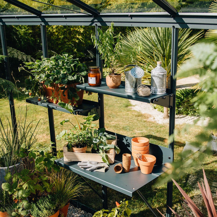 Serra Di Cumino 8,1 M²