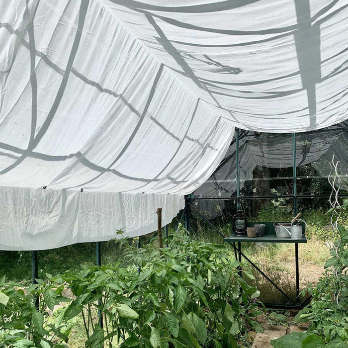 Serra Di Cumino 8,1 M²