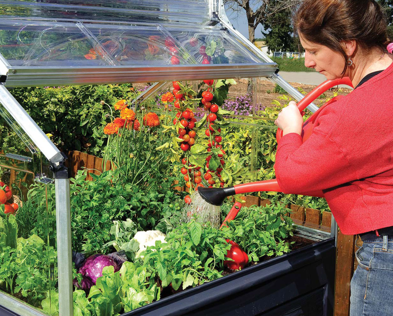 Serra Plant Inn 1,4 M²