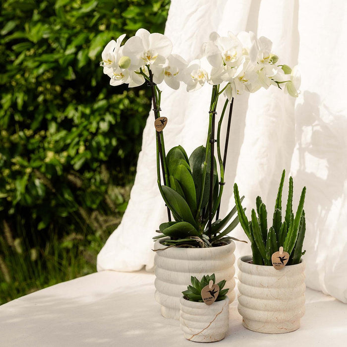 Luce In Marmo Sierpot