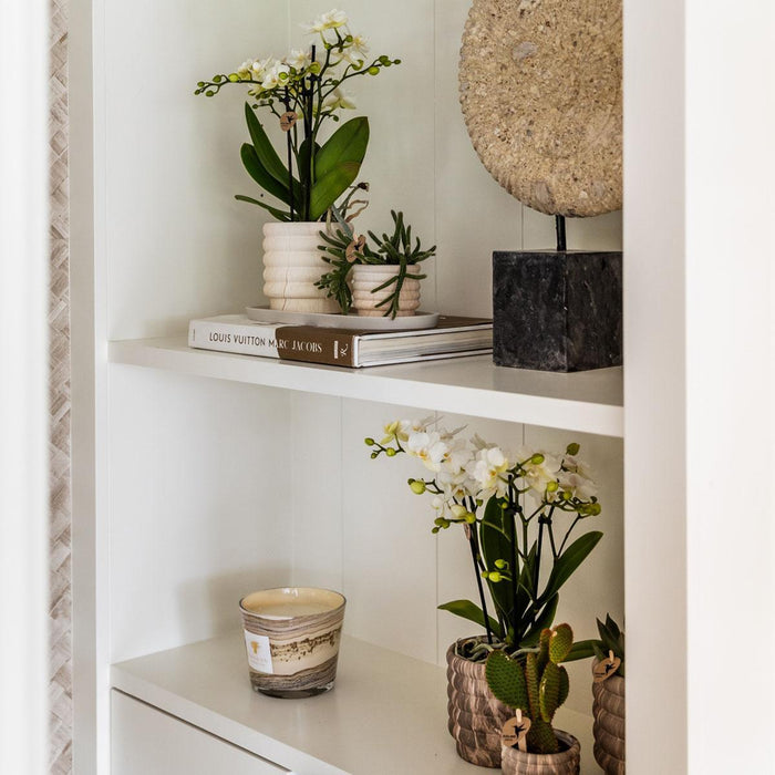 Sierpot In Ceramica Leggera In Marmo