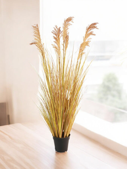 Sorgo - Erba Artificiale