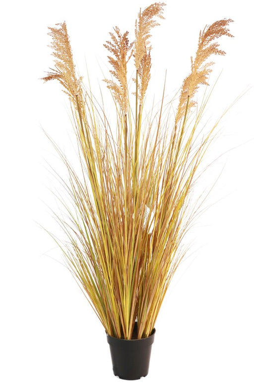 Sorgo - Erba Artificiale