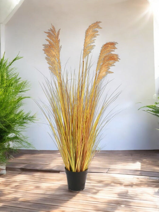 Sorgo - Erba Artificiale