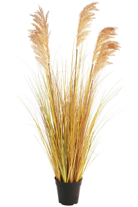 Sorgo - Erba Artificiale