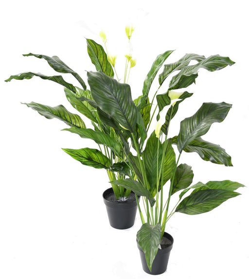 Spathiphyllum Artificiale Che Fiorisce 90 Cm Per Interni Ed Esterni