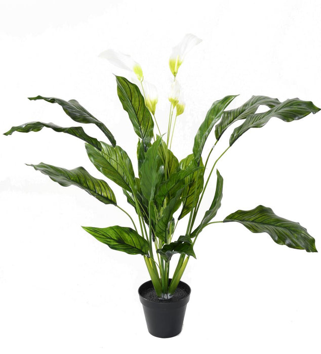 Spathiphyllum Artificiale Che Fiorisce 90 Cm Per Interni Ed Esterni