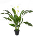Spathiphyllum Artificiale Che Fiorisce 90 Cm Per Interni Ed Esterni