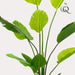 Pianta Artificiale Strelitzia Nicolai - H150Cm, Ø12Cm
