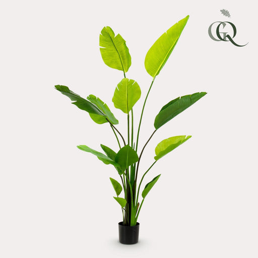 Pianta Artificiale Strelitzia Nicolai - H150Cm, Ø12Cm