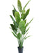Strelitzia Nicolai - Pianta Artificiale Grande