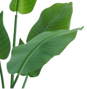 Strelitzia Nicolai - Pianta Artificiale Grande