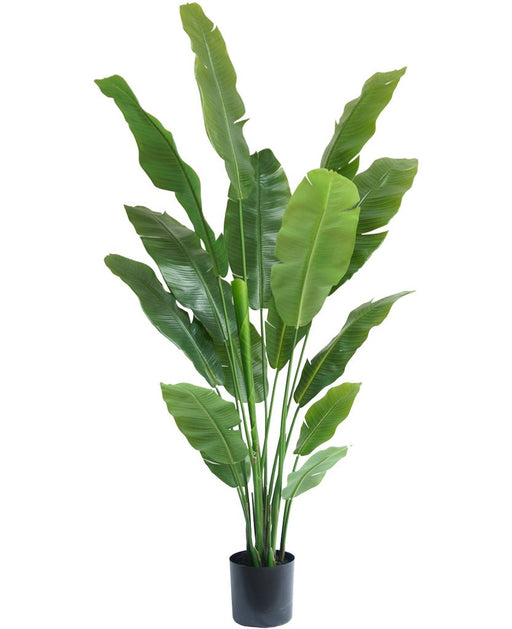 Strelitzia Nicolai - Pianta Artificiale Grande