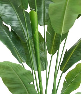 Strelitzia Nicolai - Pianta Artificiale Grande