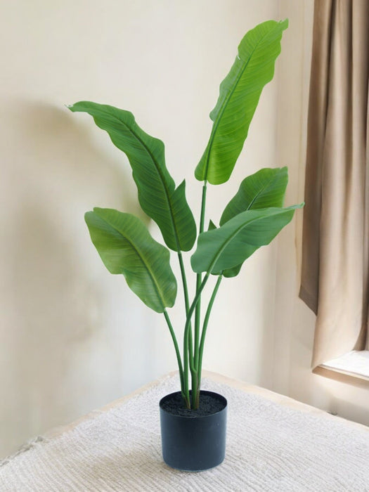 Strelitzia Nicolai - Pianta Artificiale Grande
