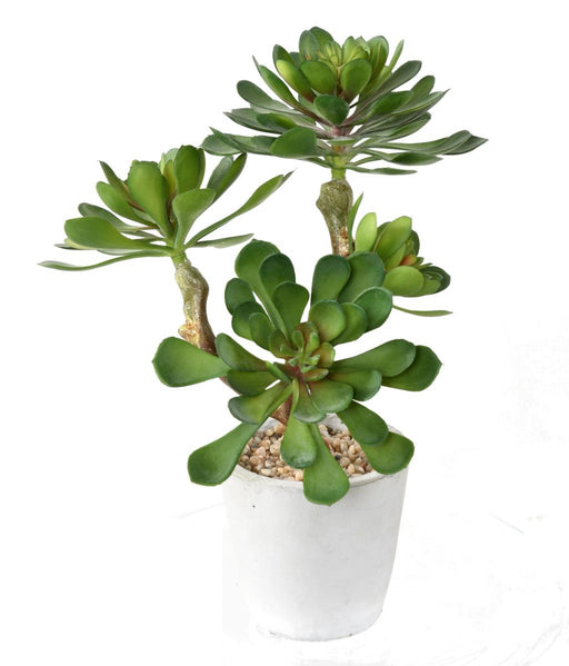 Succulente Artificiale In Vaso Ceramica 30Cm