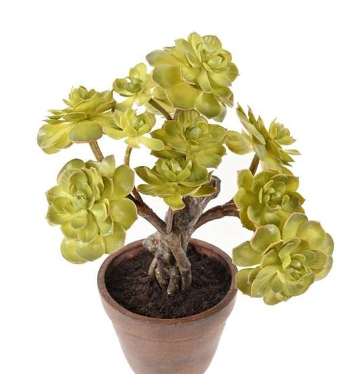 Succulente Artificiale In Vaso Di Terracotta 35 Cm