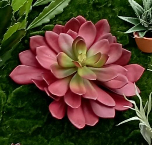 Succulente Artificiale Rossa Su Palo 30 Cm