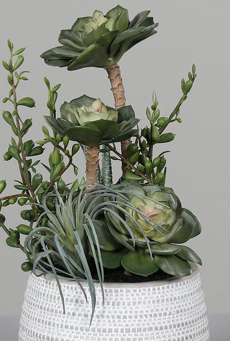 Piante Grasse Artificiali Cactus In Vaso Per Interni 31 Cm