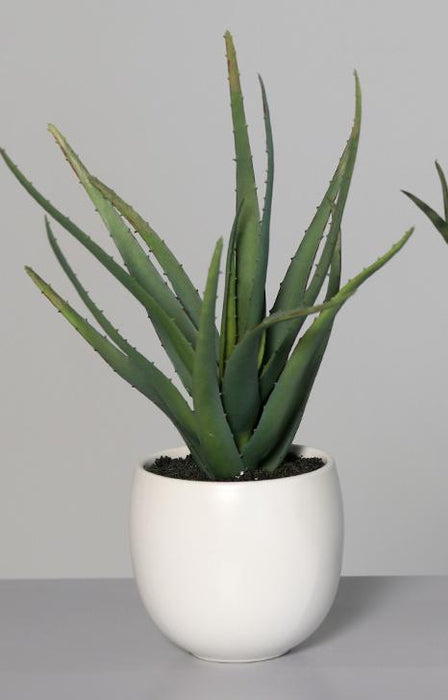 Piante Grasse Artificiali In Vasi Di Ceramica Bianca