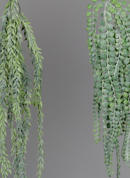 Assortimento Di Piante Grasse Artificiali Ruscus Callisia 60 Cm