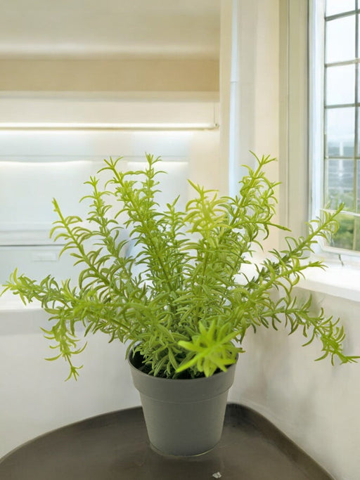 Succulente - Pianta Verde Artificiale