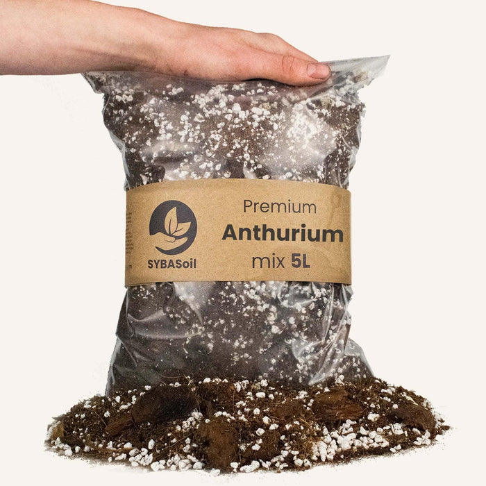Terriccio Per Anthurium - 5L