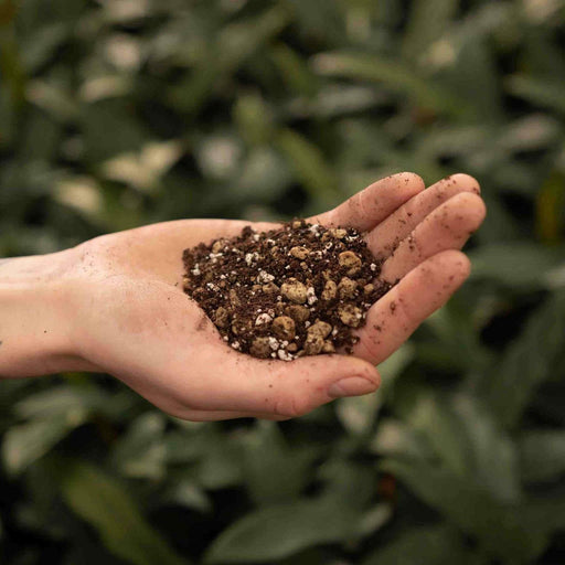 Terreno Per Bonsai - 5 Litri