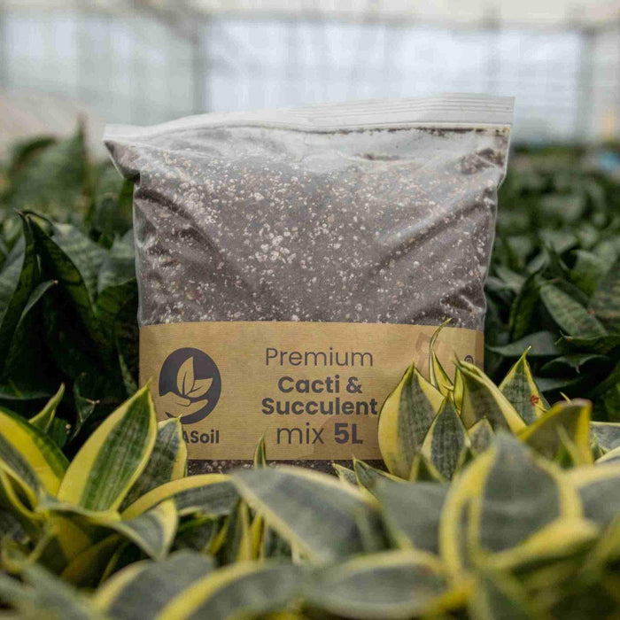 Terriccio Per Cactus E Piante Grasse - 5 L