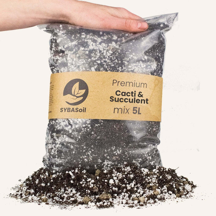 Terriccio Per Cactus E Piante Grasse - 5 L