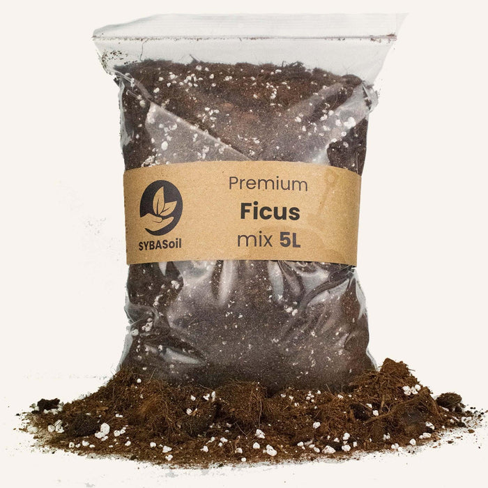 Terriccio Per Ficus - 5 Litri