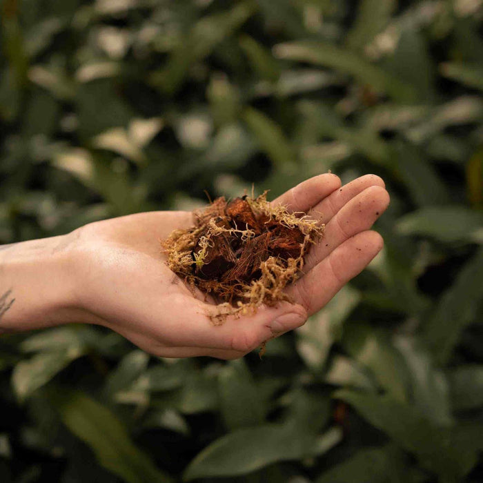 Terriccio Per Orchidee - 5 Litri