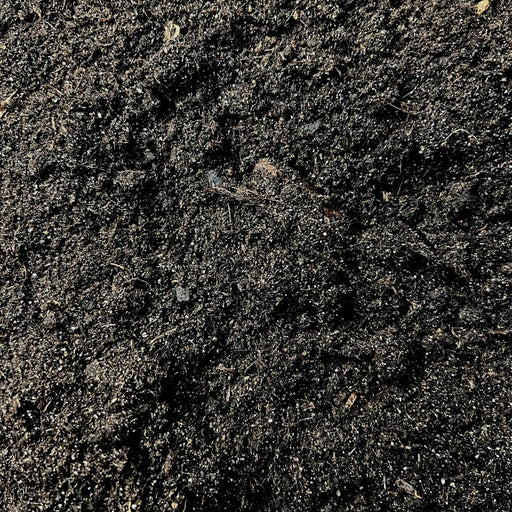 Terreno Per Cactus - 5 Litri