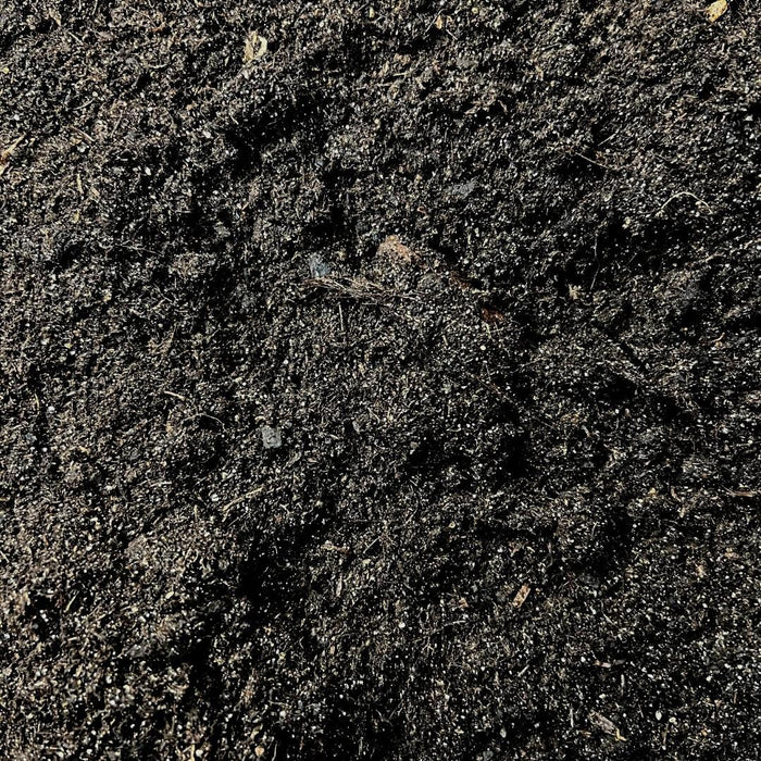 Terreno Per Cactus - 5 Litri