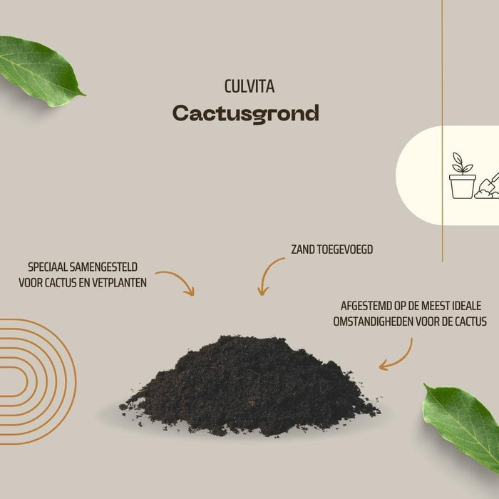 Terreno Per Cactus - 5 Litri