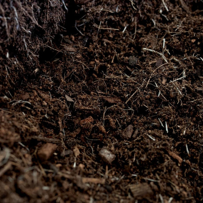 Terriccio Universale - 40L