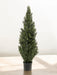 Thuja - Conifera Artificiale